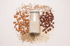 What is plant-based protein powder?