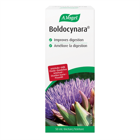 Expires December 2024 Clearance A. Vogel Boldocynara Improves Digestion 50mL