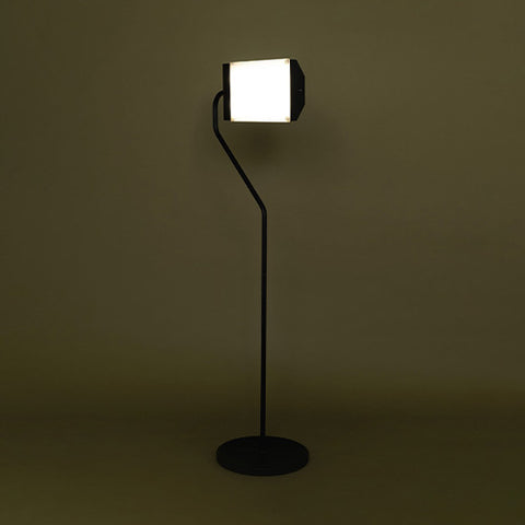 Northern Light Technologies Flamingo Floor Lamp