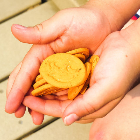 Freeyum Cheezy Cracker Bites 6x120g - YesWellness.com