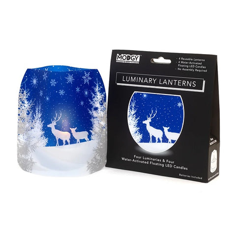 Modgy Luminary Lanterns (Various Designs)