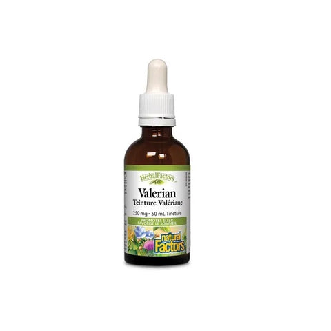 Natural Factors HerbalFactors Valerian Tincture - 50 ml - YesWellness.com