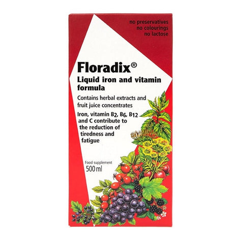 Salus Haus Floradix Liquid Iron Tonic (Various Sizes) - YesWellness.com