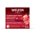 Weleda Plumping Night Cream 40mL - Yeswellness.com