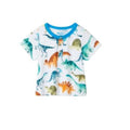 Hatley Boy's Dino Park Baby Henley - YesWellness.com