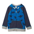 Hatley Boy's Dino Silhouettes Raglan Hoodie - YesWellness.com