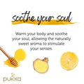 Pukka Lemon Ginger & Manuka Honey Organic Herbal Tea 20 Sachets - YesWellness.com