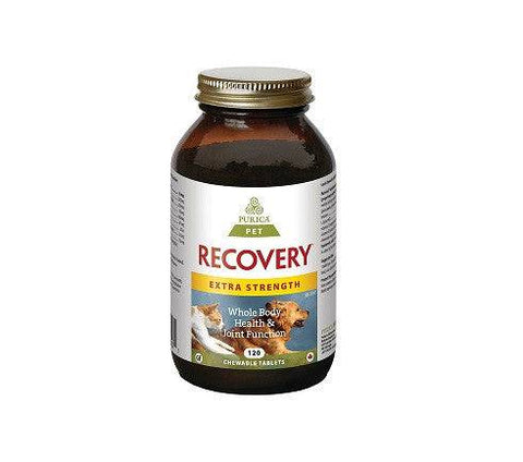 Expires March 2025 Clearance Purica Pet Recovery Extra Strength 120 Chewable Tablets (Recovery SA)