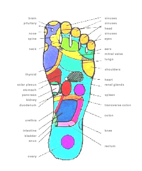 Relaxus Spa Deluxe Acu-Reflex Foot Roller